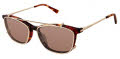Jill Stuart JS 437 Brown Tortoise (2) Eyeglasses - Color Image