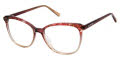 Jill Stuart JS 454 Rose Gradient (1) Eyeglasses - Color Image