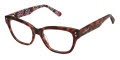 Jill Stuart JS 466 Havana (2) Eyeglasses - Color Image