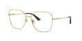 Jimmy Choo JC2001B Pale-Gold (3006) Eyeglasses - Color Image