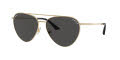 Jimmy Choo JC4002B Pale-Gold / Dark-Grey (300687) Sunglasses - Color Image