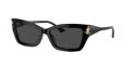 Jimmy Choo JC5011U Black / Dark-Grey (500087) Sunglasses - Color Image