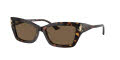 Jimmy Choo JC5011U Havana / Dark-Brown (500273) Sunglasses - Color Image