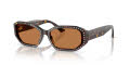 Jimmy Choo JC5021BU Havana-Silver Shade / Brown (500273) Sunglasses - Color Image