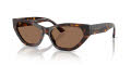 Jimmy Choo JC5022B Havana / Dark Brown (500273) Sunglasses - Color Image
