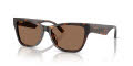 Jimmy Choo JC5024HU Havana / Dark Brown (500273) Sunglasses - Color Image