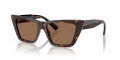Jimmy Choo JC5028 Havana / Dark Brown (500273) Sunglasses - Color Image