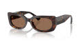 Jimmy Choo JC5029U Havana / Dark Brown (500273) Sunglasses - Color Image