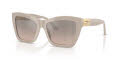 Jimmy Choo JC5031 Ash / Brown Grad Grey Mirror Silver (50336I) Sunglasses - Color Image