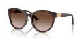 Jimmy Choo JC5032D Havana / Gradient Brown (50028G) Sunglasses - Color Image