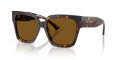 Jimmy Choo JC5047B Havana/Polarized Brown (500283) Sunglasses - Color Image