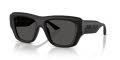 Jimmy Choo JC6003U Matte Black/Dark Grey (500187) Sunglasses - Color Image
