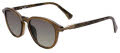 John Varvatos SJV559 Olive Crystal Sunglasses - Color Image