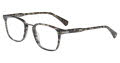John Varvatos VJV423 Striped Smoke Eyeglasses - Color Image