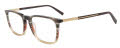 Jones New York VJOM543 Brown Horn Eyeglasses - Color Image