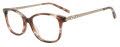 Jones New York VJOP248- Petite Brown Horn Eyeglasses - Color Image