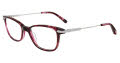 Jones New York J242 -  Petite Purple Eyeglasses - Color Image