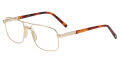 Jones New York J365 Gold Eyeglasses - Color Image