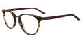 Jones New York J776 Tortoise Eyeglasses - Color Image