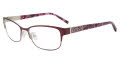 Jones New York VJON499 Purple Eyeglasses - Color Image