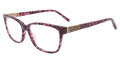 Jones New York VJON785 Purple Horn Eyeglasses - Color Image