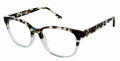 Juicy Couture JU 244 Havana (0086) Eyeglasses - Color Image