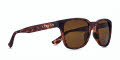 Kaenon Avalon Matte Tortoise / Brown 12% Polarized Lens (074MEMEGL B120) Sunglasses - Color Image