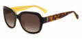 Kate Spade Layne/S Havana Yellow (HJV) Sunglasses - Color Image