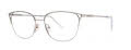 Vera Wang Mara Silver Eyeglasses - Color Image