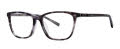 Vera Wang VA74 Black Tortoise Eyeglasses - Color Image