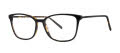 Vera Wang V738 Black Tortoise Eyeglasses - Color Image