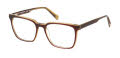 Kenneth Cole KC50012 Matte Dark Brown (050) Eyeglasses - Color Image