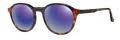 Kensie Accentuate Dark Tortoise Sunglasses - Color Image