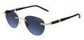 Mont Blanc MB0412S Gold / Blue Lens (006) Sunglasses - Color Image