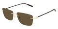 Mont Blanc MB0429S Gold Brown lens (005) Sunglasses - Color Image