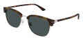 Mont Blanc MB0439SA Silver Grey (004) Sunglasses - Color Image