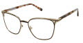 L.A.M.B. LA134 Brown (BRN) Eyeglasses - Color Image