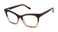 L.A.M.B. LA061 Havana (HAV) Eyeglasses - Color Image