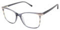 L.A.M.B. LA099 Grey (GRY) Eyeglasses - Color Image