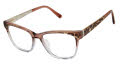 L.A.M.B. LA136 Brown/Lavender (BRN) Eyeglasses - Color Image
