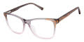 L.A.M.B. LA139 Grey/Blush (GRY) Eyeglasses - Color Image