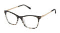 L.A.M.B. LA147 Grey (GRY) Eyeglasses - Color Image