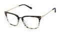L.A.M.B. LA148 Black (BLK) Eyeglasses - Color Image