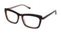 L.A.M.B. LA004 - Taya Tortoise (TOR) Eyeglasses - Color Image