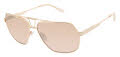 L.A.M.B. LA577 Gold (GLD) Sunglasses - Color Image
