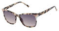 L.A.M.B. LA592 Ivory Tortoise (IVO) Sunglasses - Color Image