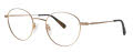Lafont Express Golden (006) Eyeglasses - Color Image