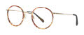 Lafont Clic_Insert Brown (5323I) Eyeglasses - Color Image
