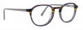 Life is Good Crew Grey Eyeglasses - Color Image