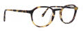 Life is Good Crew Matte Tortoise Eyeglasses - Color Image